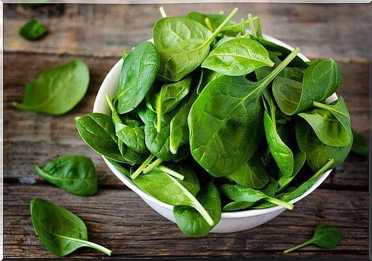 Green spinach is a vegetable that is high in calcium