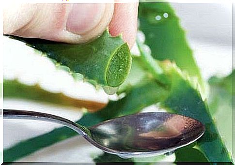 Aloe Vera as a natural laxative