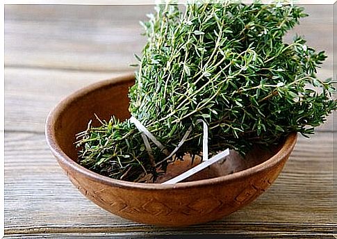 Thyme - a home remedy for fighting fleas