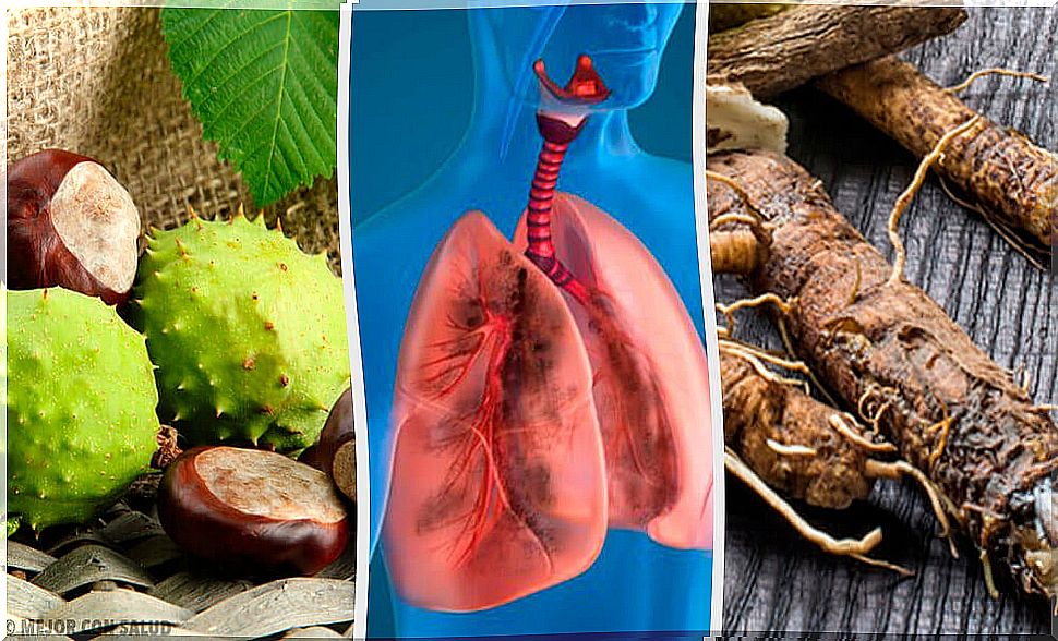 4 home remedies to strengthen your lungs