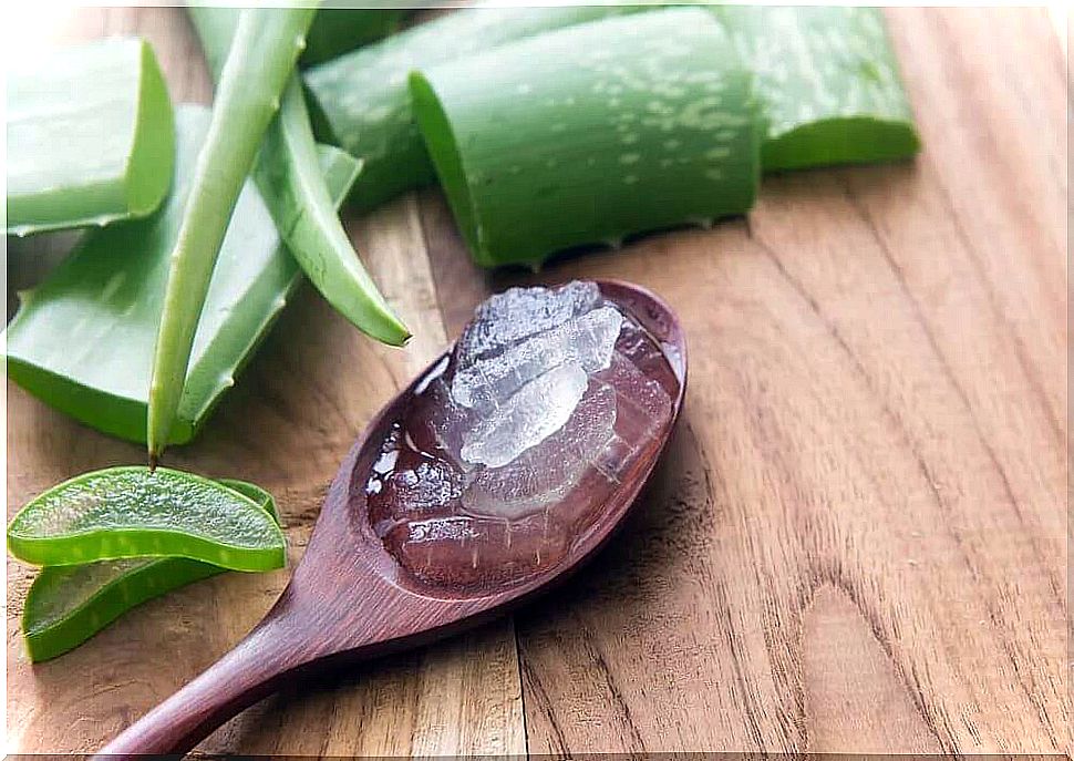 Aloe vera for face masks against wrinkles