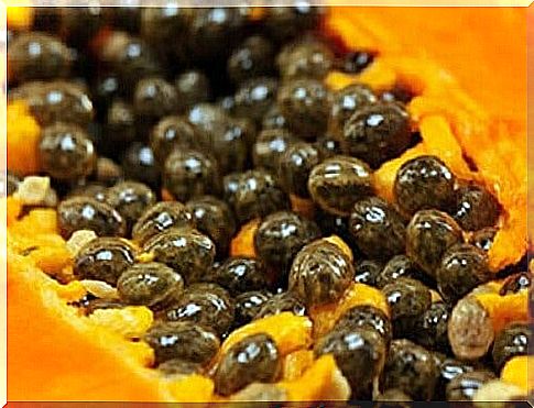 5 extraordinary properties of papaya seeds