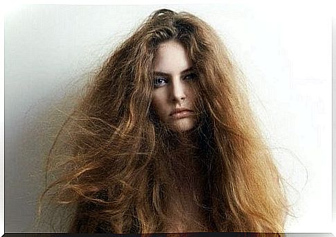 5 natural remedies for dry hair