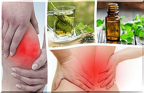 6 pain reliever plants