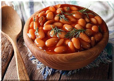 beans-as-fat-burner