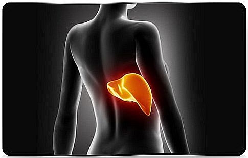 A few tips for naturally cleansing the liver