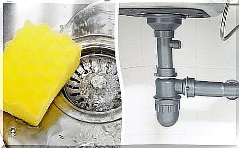 Simple trick against bad smells in drainpipes