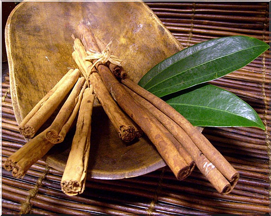 cinnamon-and-laurel