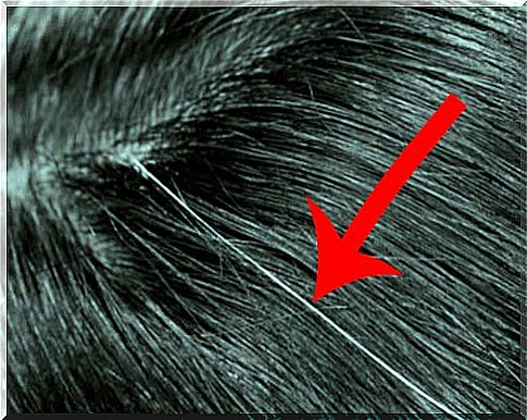 Cover up gray hair naturally