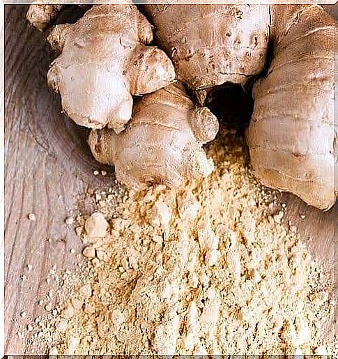 Everything about the medicinal plant ginger