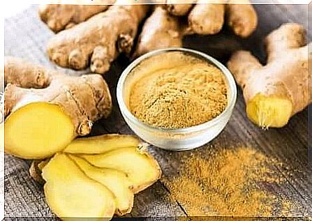 The medicinal plant ginger