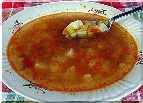 Fat burner soup for weight loss