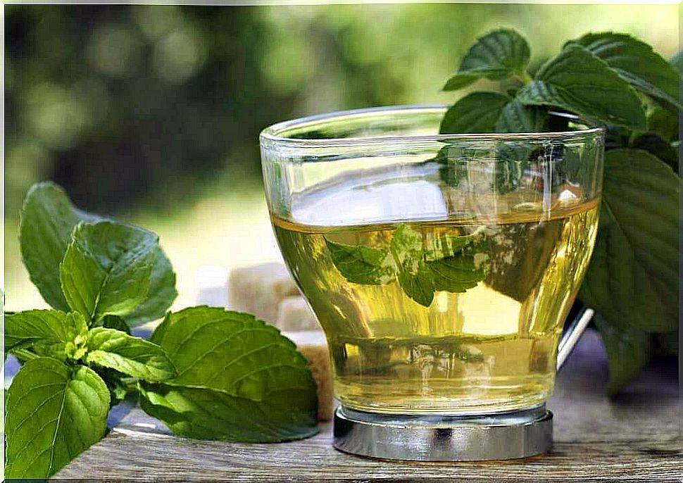 Mint can fight headaches