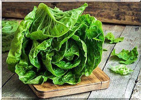 Lettuce can fight headaches