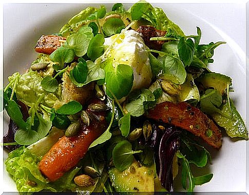 avocado salad