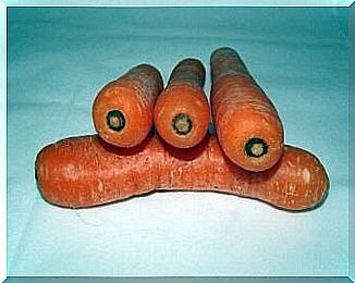 Carrot Health Benefits