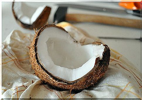 coconut