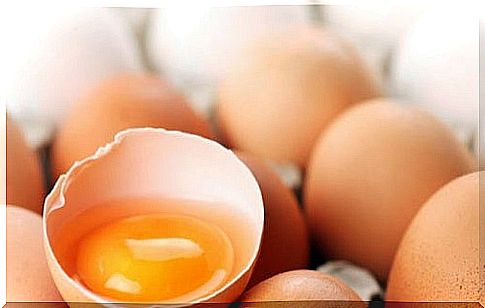 protein-and-egg-yolk