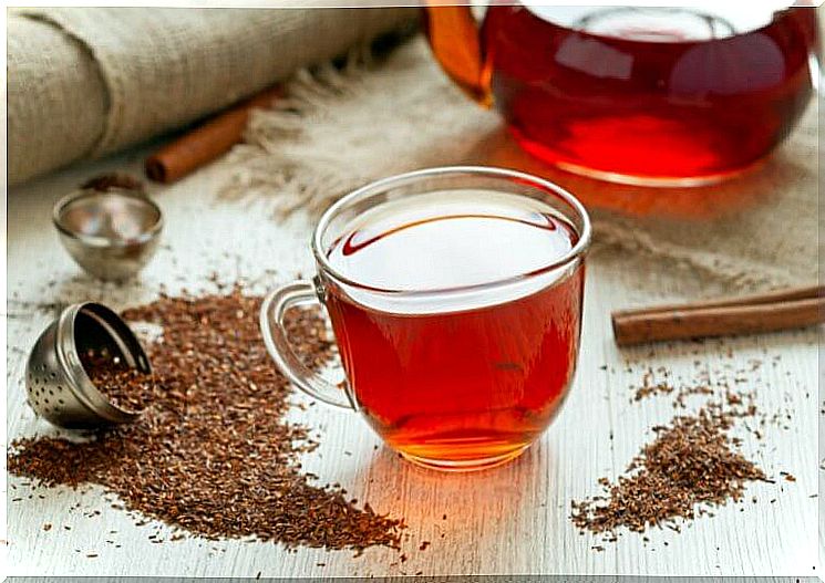 How to make red tea to get all the benefits 