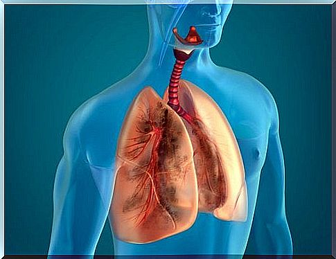 How to take care of your lungs and airways