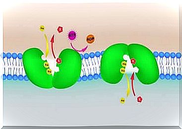 Hyperkalemia