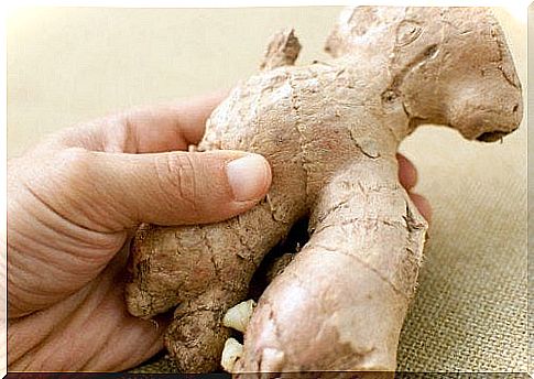 Ginger root