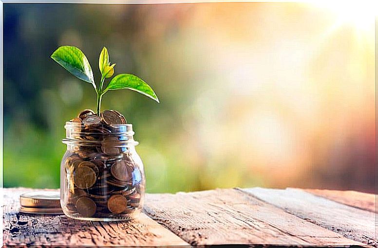 Jar with money and plants - save money with Kakebo