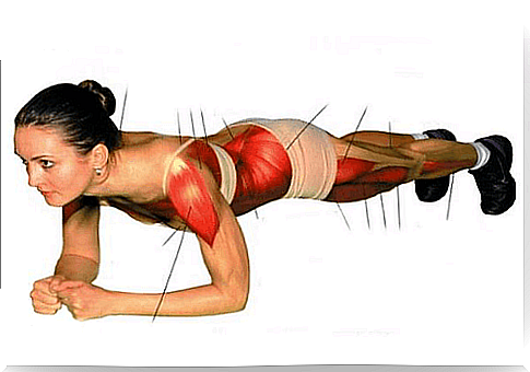 “Plank”: a simple exercise that strengthens the entire body