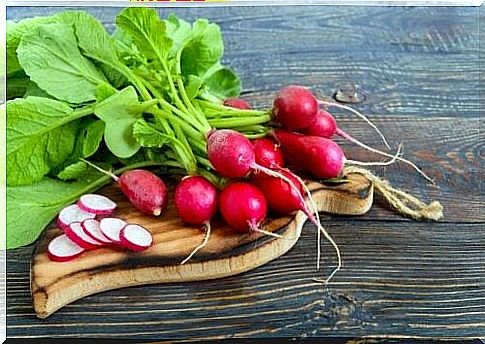 Radish leaves: benefits and uses