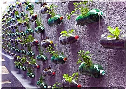 Recycle plastic bottles - vertical garden