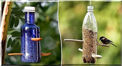 Recycle plastic bottles as feed dispensers for birds