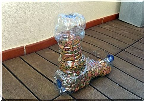 Recycle plastic bottles and use them to make a container for dog food