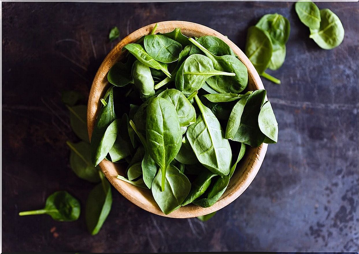 Spinach and cheese dip as a delicious starter