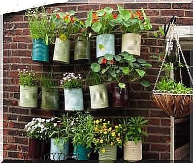 A vertical city garden: space-saving and easy to set up 