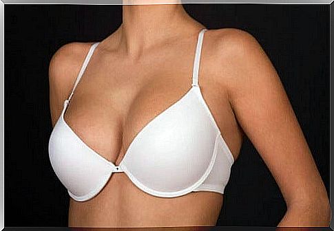 Brassiere