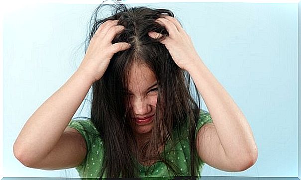 Avocado home remedies for head lice