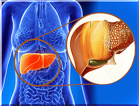 What helps against fatty liver?