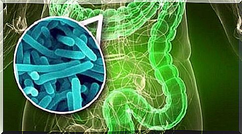 Your intestines are badly colonized by bacteria: 10 signs