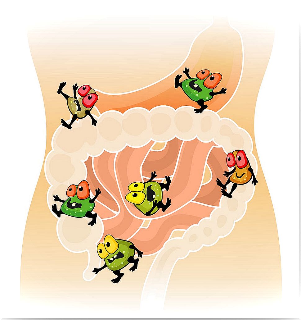 your gut with gut bacteria